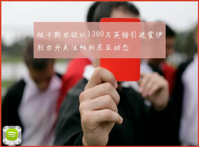 纽卡斯尔欲以1300万英镑引进霍伊别尔并关注帕利尼亚动态